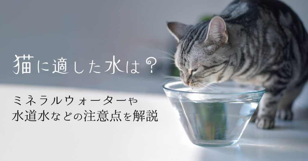 「猫に適した水は？ミネラルウォーターや水道水などの注意点を解説」のTOP画像