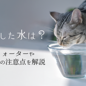 「猫に適した水は？ミネラルウォーターや水道水などの注意点を解説」のTOP画像