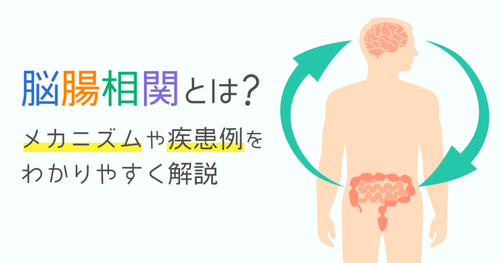 「脳腸相関とは？メカニズムや疾患例をわかりやすく解説」記事TOP画像