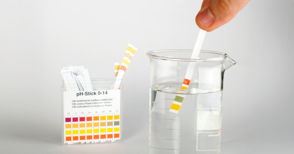 ビーカーに入った水にリトマス試験紙を浸している様子