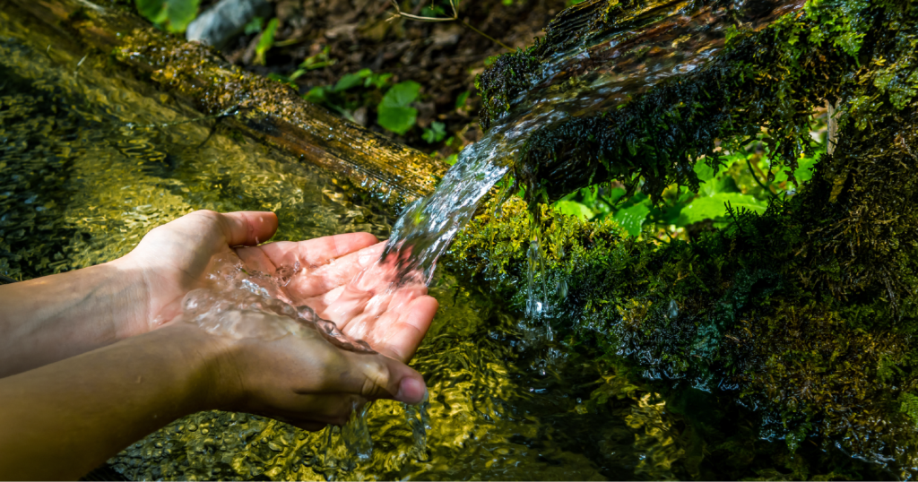 山の湧き水を両手で救っている様子